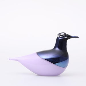 Birds Oriol ライトライラック 0011