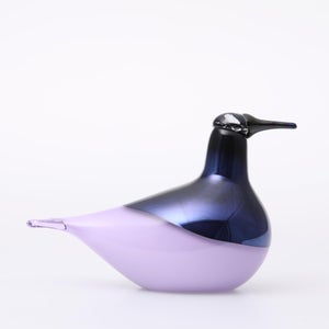 Birds Oriol ライトライラック 0012