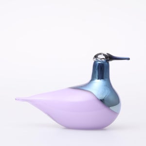 Birds Oriol ライトライラック 0013