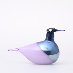 Birds Oriol ライトライラック 0014