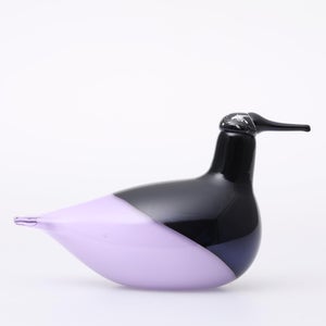 Birds Oriol ライトライラック 0015