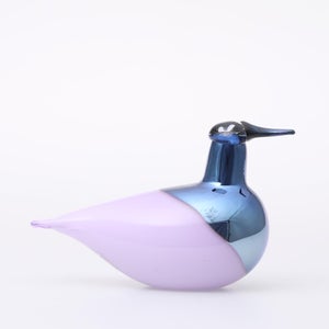 Birds Oriol ライトライラック 0016