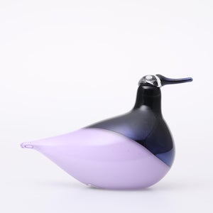 Birds Oriol ライトライラック 0017