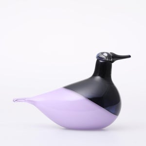 Birds Oriol ライトライラック 0019