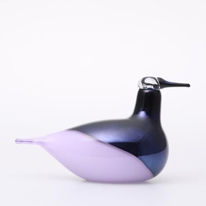 Birds Oriol ライトライラック 0021