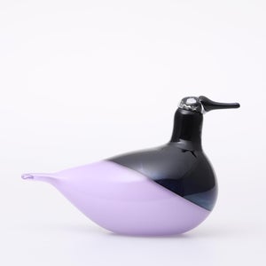 Birds Oriol ライトライラック 0024