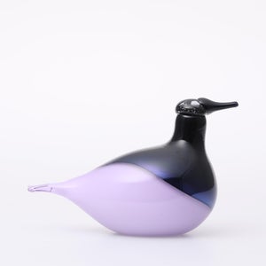 Birds Oriol ライトライラック 0025