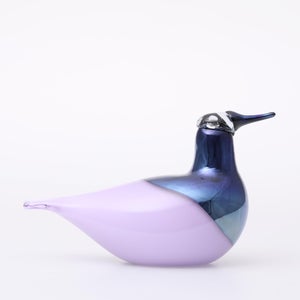 Birds Oriol ライトライラック 0027