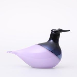 Birds Oriol ライトライラック 0028