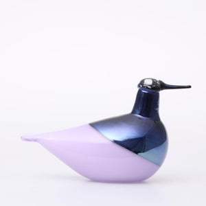 Birds Oriol ライトライラック 0031