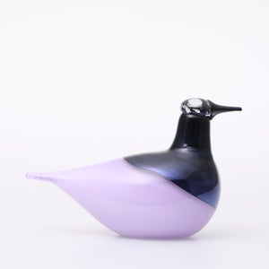 Birds Oriol ライトライラック 0032