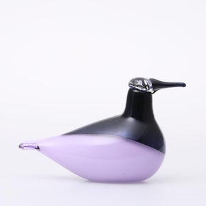 Birds Oriol ライトライラック 0033