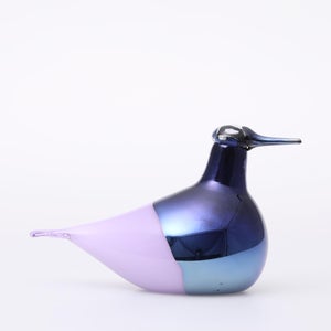 Birds Oriol ライトライラック 0034