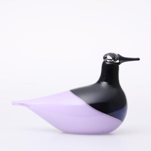 Birds Oriol ライトライラック 0036