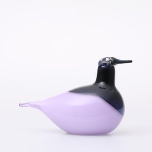 Birds Oriol ライトライラック 0038