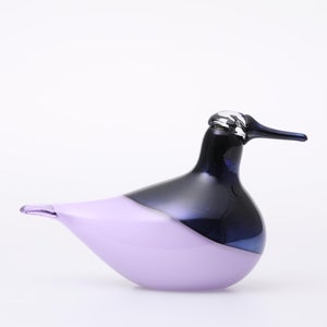 Birds Oriol ライトライラック 0039