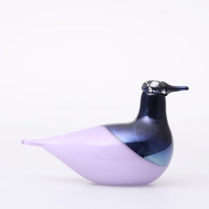 Birds Oriol ライトライラック 0040