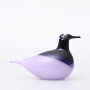 Birds Oriol ライトライラック 0041