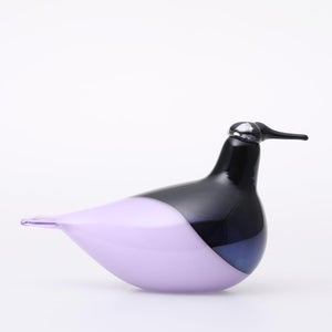 Birds Oriol ライトライラック 0042