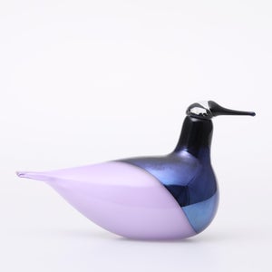 Birds Oriol ライトライラック 0043