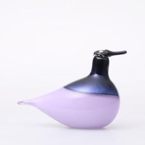 Birds Oriol ライトライラック 0044