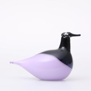 Birds Oriol ライトライラック 0045