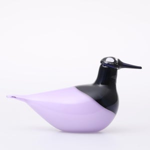 Birds Oriol ライトライラック 0046