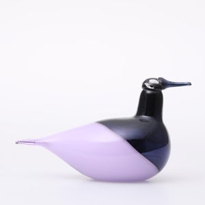 Birds Oriol ライトライラック 0049