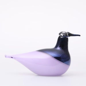 Birds Oriol ライトライラック 0050