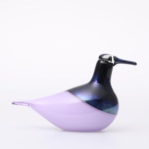 Birds Oriol ライトライラック 0051