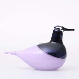 Birds Oriol ライトライラック 0053