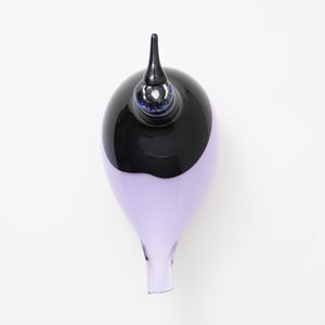 Birds Oriol ライトライラック 0020