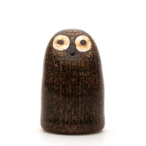 Birds Barn Owl ブラウン 0076