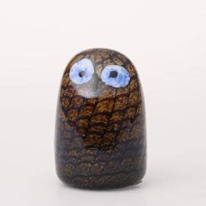 Birds Owlet ブラウン 0088