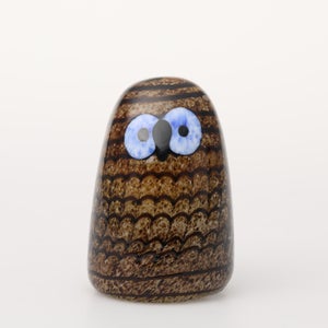 Birds Owlet ブラウン 0139