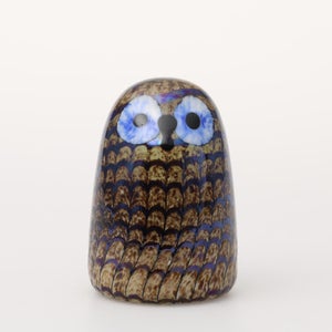 Birds Owlet ブラウン 0146