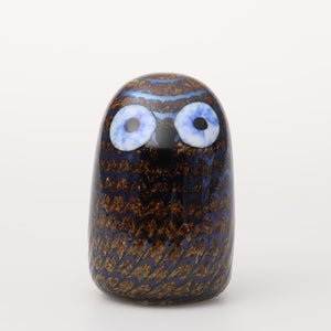 Birds Owlet ブラウン 0154