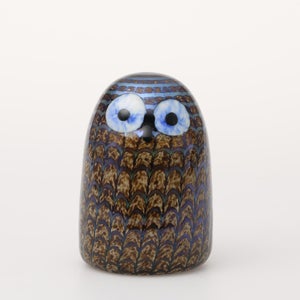 Birds Owlet ブラウン 0156