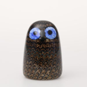 Birds Owlet ブラウン 0159