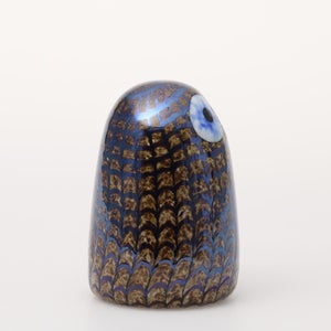 Birds Owlet ブラウン 0144