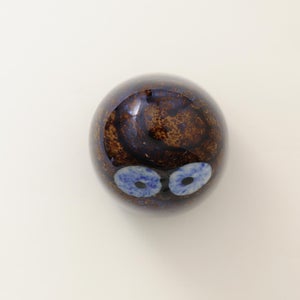 Birds Owlet ブラウン 0074