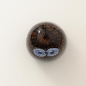 Birds Owlet ブラウン 0075