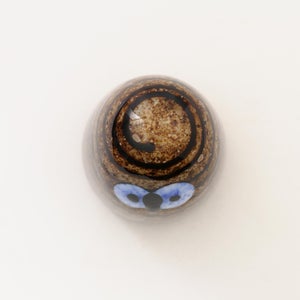 Birds Owlet ブラウン 0139