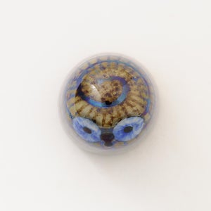 Birds Owlet ブラウン 0149