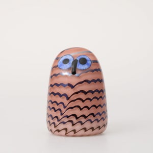 Birds Owlet サーモンピンク 0022