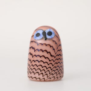 Birds Owlet サーモンピンク 0023