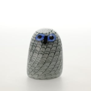 Birds Owlet グレー 0003