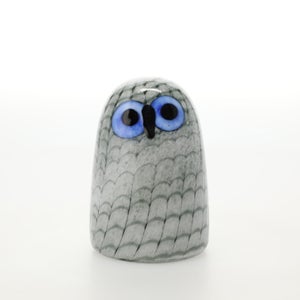 Birds Owlet グレー 0004
