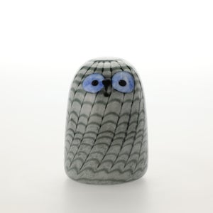 Birds Owlet グレー 0005