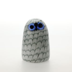 Birds Owlet グレー 0007